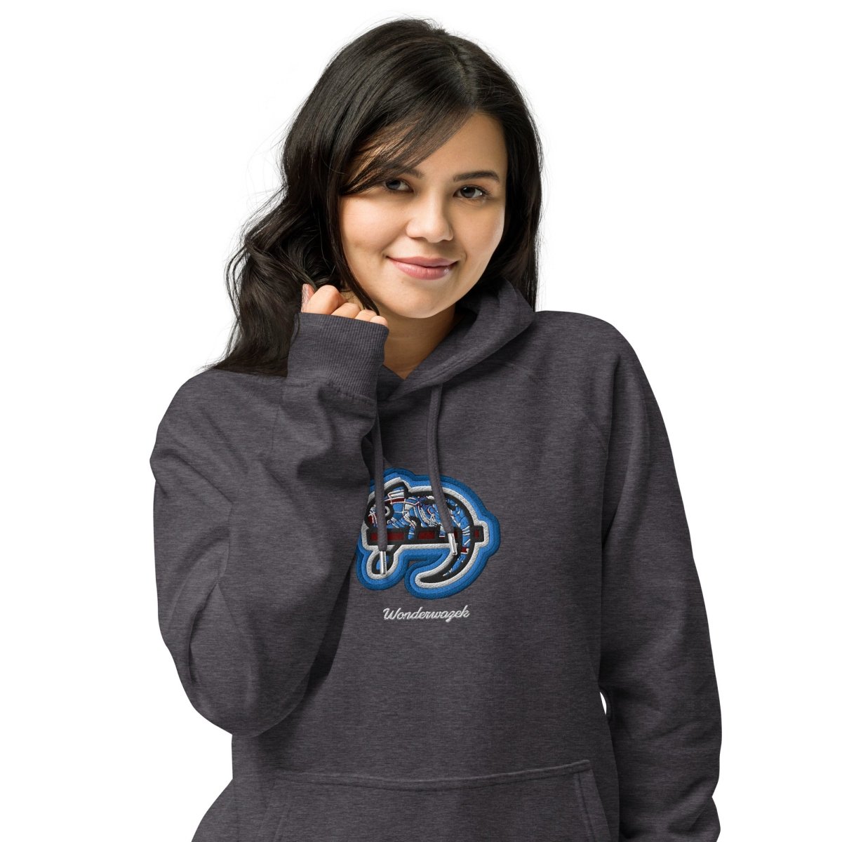 Hoodie Grau • kunterbuntes Chamäleon – Stick GROSS, Blau - Wonderwazek